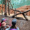 Fotografie 6 - Zoo Praha