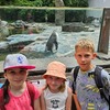 Fotografie 8 - Zoo Praha
