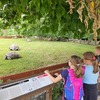 Fotografie 12 - Zoo Praha