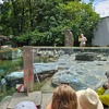Fotografie 13 - Zoo Praha