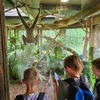 Fotografie 14 - Zoo Praha