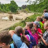 Fotografie 18 - Zoo Praha