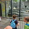 Fotografie 20 - Zoo Praha