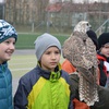 Fotografie 44 - SOVY A DRAVCI