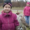 Fotografie 46 - SOVY A DRAVCI