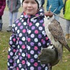 Fotografie 62 - SOVY A DRAVCI