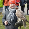 Fotografie 67 - SOVY A DRAVCI
