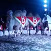 Fotografie 2 - Turistický kroužek navštívil cirkus