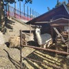 Fotografie 30 - Prázdninová školní družina