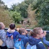 Fotografie 2 - Zoopark Chomutov