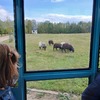 Fotografie 20 - Zoopark Chomutov