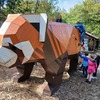 Fotografie 29 - Zoopark Chomutov