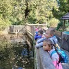 Fotografie 34 - Zoopark Chomutov