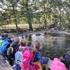 Fotografie 35 - Zoopark Chomutov