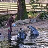Fotografie 36 - Zoopark Chomutov