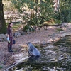 Fotografie 37 - Zoopark Chomutov