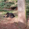 Fotografie 42 - Zoopark Chomutov