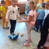 Fotografie 14 - ZVÍŘÁTKA
