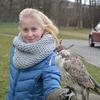 Fotografie 21 - Lovci nebes - ukázka dravců