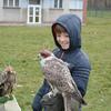 Fotografie 29 - Lovci nebes - ukázka dravců