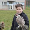 Fotografie 30 - Lovci nebes - ukázka dravců