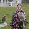 Fotografie 33 - Lovci nebes - ukázka dravců