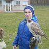 Fotografie 36 - Lovci nebes - ukázka dravců