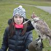 Fotografie 39 - Lovci nebes - ukázka dravců