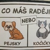 Fotografie 36 - VV Déšť