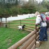 Fotografie 1 - ZOO ÚSTÍ NAD LABEM