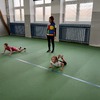 Fotografie 18 - TV S trenérkou jógy 