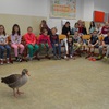 Fotografie 1 - Vodní ptáci