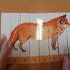 Fotografie 54 - Projekt Les