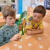Fotografie 58 - Projekt Les