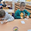Fotografie 65 - Projekt Les