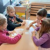 Fotografie 72 - Projekt Les