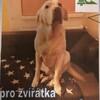 Fotografie 5 - Vánoční sbírka