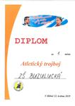 Fotografie 39 - Diplomy 2018/2019