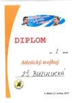 Fotografie 41 - Diplomy 2018/2019