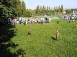Fotografie 14 - Dravci na naší škole 6. září 2013