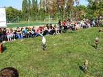 Fotografie 18 - Dravci na naší škole 6. září 2013