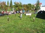 Fotografie 19 - Dravci na naší škole 6. září 2013