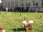 Fotografie 26 - Dravci na naší škole 6. září 2013