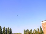 Fotografie 43 - Dravci na naší škole 6. září 2013