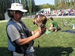 Fotografie 47 - Dravci na naší škole 6. září 2013
