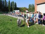 Fotografie 50 - Dravci na naší škole 6. září 2013