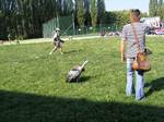 Fotografie 55 - Dravci na naší škole 6. září 2013