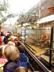 Fotografie 2 - Exkurze Biopark Gymnázium Teplice25.10.2013
