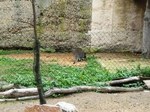 Fotografie 23 - Exkurze Biopark Gymnázium Teplice25.10.2013