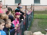 Fotografie 26 - Exkurze Biopark Gymnázium Teplice25.10.2013